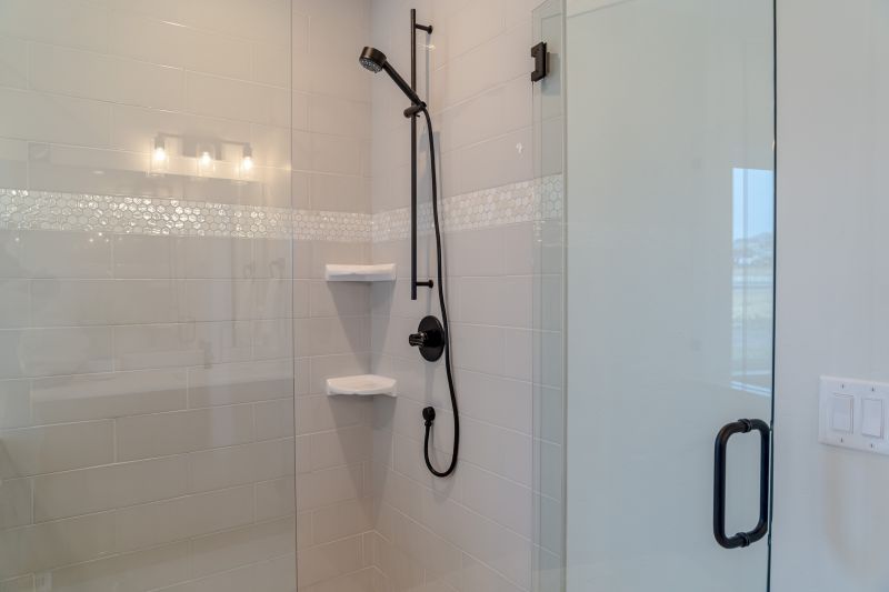 Modern Shower with Black Fixtures